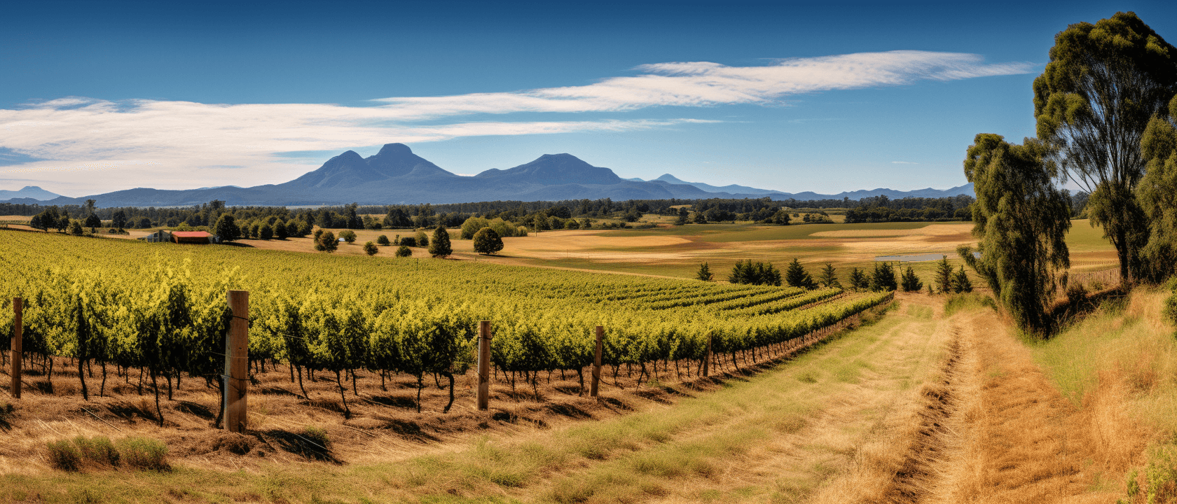 Tasmania Wine Region